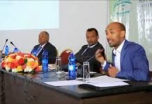 Semir-Yusuf-PhD-The-current-political-transition-in-Ethiopia-Challenges-and-Opportunities