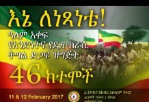 Ethiopia-AG7-Ene-Le-Netsanete-2017-46-cities-report