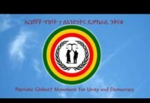 Patriotic-Ginbot7-Movement-for-Unity-and-Democracy-Press-Realease