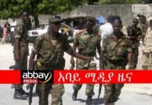 The-massacre-at-Moyale-Which-Was-Carried-out-by-Agazi-Soldiers-Was-Planned