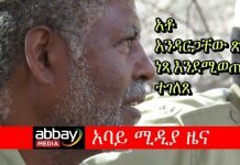 Andargachew-Tsige-is-set-to-be-free