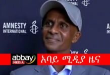 Democracy-Should-Be-the-First-Priority-in-Ethiopia-Says-Journalist-Eskinder-Nega