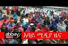 Global-Alliance-for-the-Rights-of-Ethiopians-delivered-monetary-donations-to-the-displaced