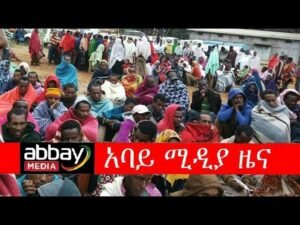 Global-Alliance-for-the-Rights-of-Ethiopians-delivered-monetary-donations-to-the-displaced