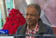 INTERVIEW-High-profile-political-prisoner-freed-in-Ethiopia-amid-reconciliation-drive