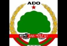 Oromo-democratic-congress-released-statement-on-their-discussions-with-the-TPLF-lead