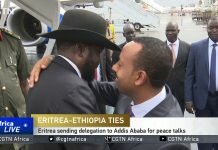 Hopes-for-peace-as-Ethiopia-Eritrea-call-for-truce-and-talks