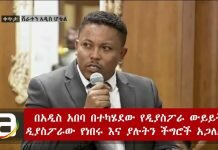 Ethiopia-Diaspora-Discussion-at-Sheraton-Addis-Addis-Ababa